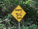 Road sign, Cockscomb Basin Jaguar Reserve, Belize    Callyn D. Yorke