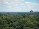View from Temple No. 6, Tikal, Guatemala.  Callyn D. Yorke