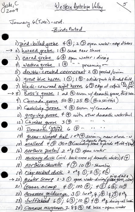 Notes Page 5