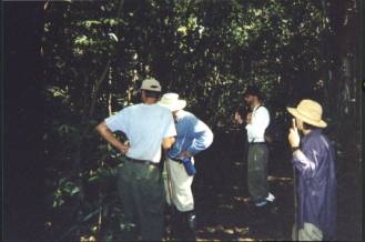 field studies in secondary lowland rainforest