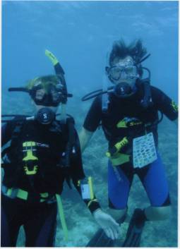 diving on Moor Reef, Great Barrier Reef, Cairns region, Australia